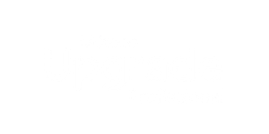Cliente 11